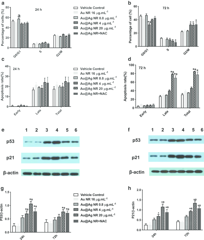 Investigating ROS and Cell Cycle Arrest in the Genotoxic Effects of Gold Nanorod Core/Silver Shell Nanostructures