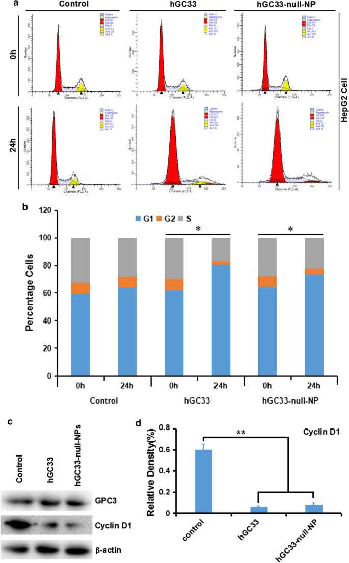 hGC33-Targeted Sorafenib Nanoparticles Synergistically Inhibit Hepatoma via Wnt Pathway Suppression