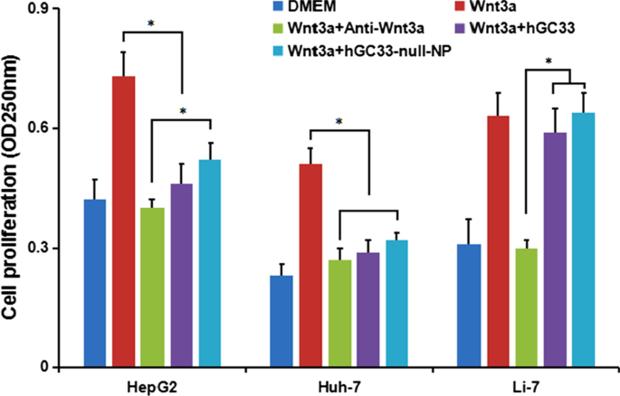 hGC33-Targeted Sorafenib Nanoparticles Synergistically Inhibit Hepatoma via Wnt Pathway Suppression