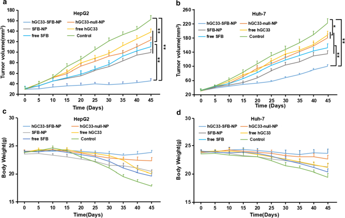 hGC33-Targeted Sorafenib Nanoparticles Synergistically Inhibit Hepatoma via Wnt Pathway Suppression