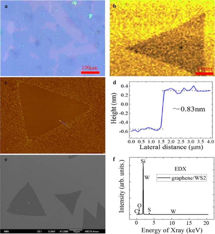Engineering High-Quality Graphene/TMD Heterostructures: Fabrication and Spectral Analysis