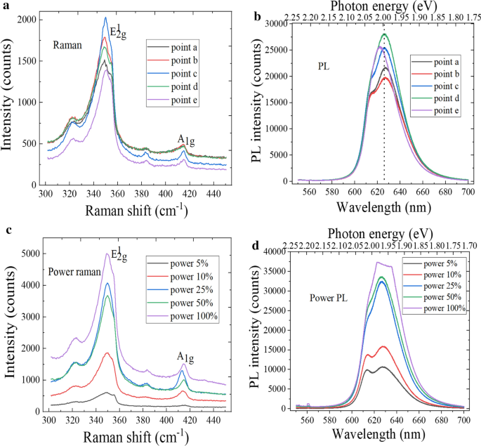 Engineering High-Quality Graphene/TMD Heterostructures: Fabrication and Spectral Analysis