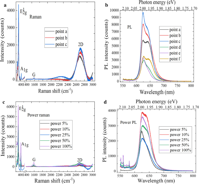 Engineering High-Quality Graphene/TMD Heterostructures: Fabrication and Spectral Analysis