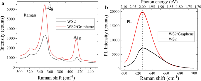 Engineering High-Quality Graphene/TMD Heterostructures: Fabrication and Spectral Analysis