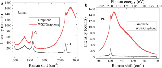Engineering High-Quality Graphene/TMD Heterostructures: Fabrication and Spectral Analysis