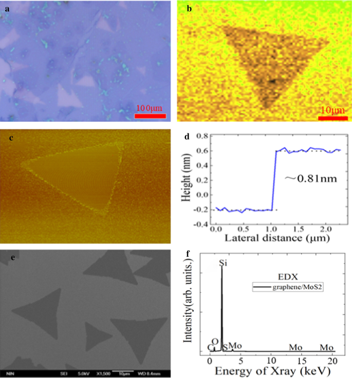Engineering High-Quality Graphene/TMD Heterostructures: Fabrication and Spectral Analysis