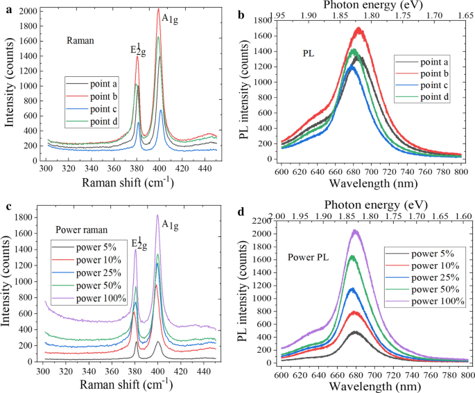 Engineering High-Quality Graphene/TMD Heterostructures: Fabrication and Spectral Analysis