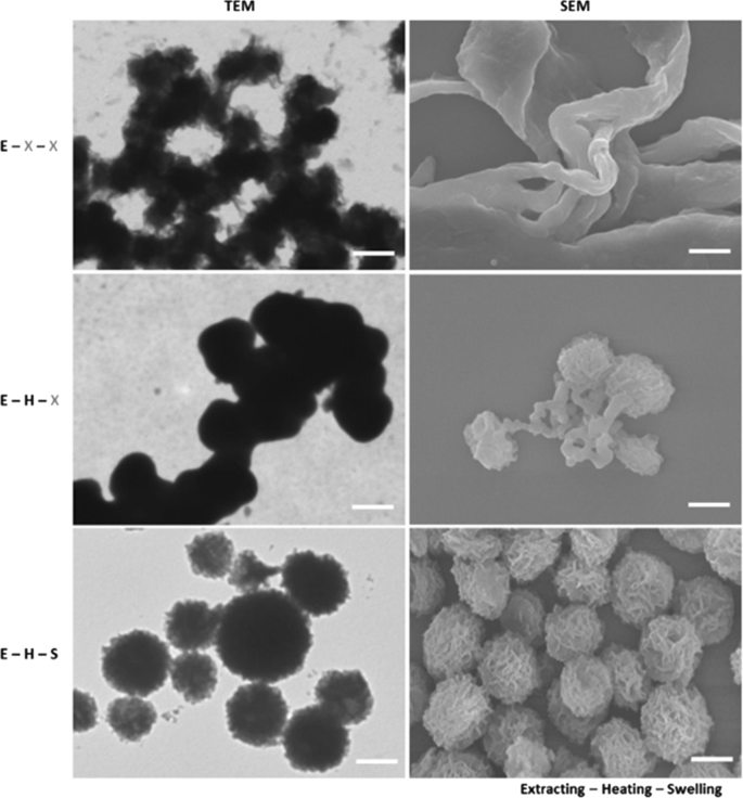 Polyaniline Nanoskein: Innovative Synthesis, Comprehensive Characterization, and Advanced Redox Sensing