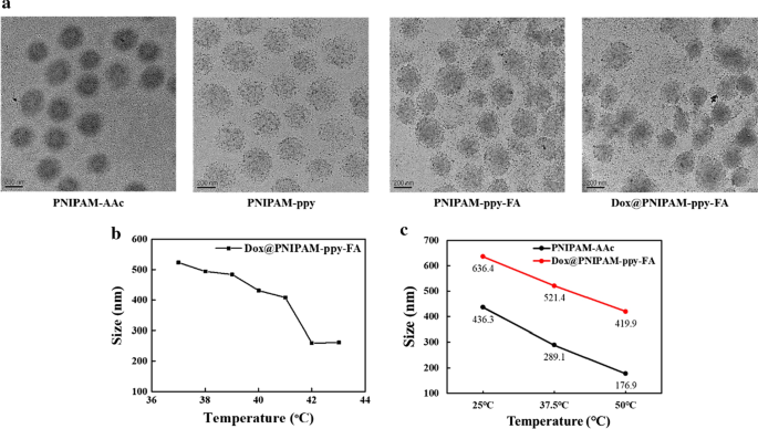 Targeted NIR-Responsive PNIPAM‑Pyrrole Nanocomposites for Synergistic Chemo‑Photothermal Breast Cancer Therapy