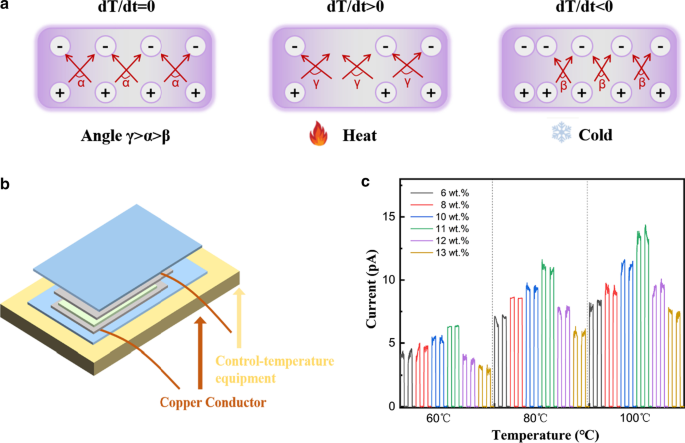 Optimizing β-Phase PVDF Films and Nanofibers for Superior Electroactive Performance