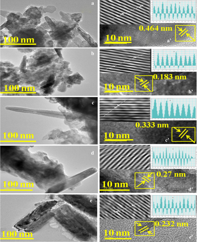 Enhanced Photocatalytic and Antimicrobial Performance of Mg-Doped ZnO Nanorods: Structural Characterization and Molecular Docking Insights