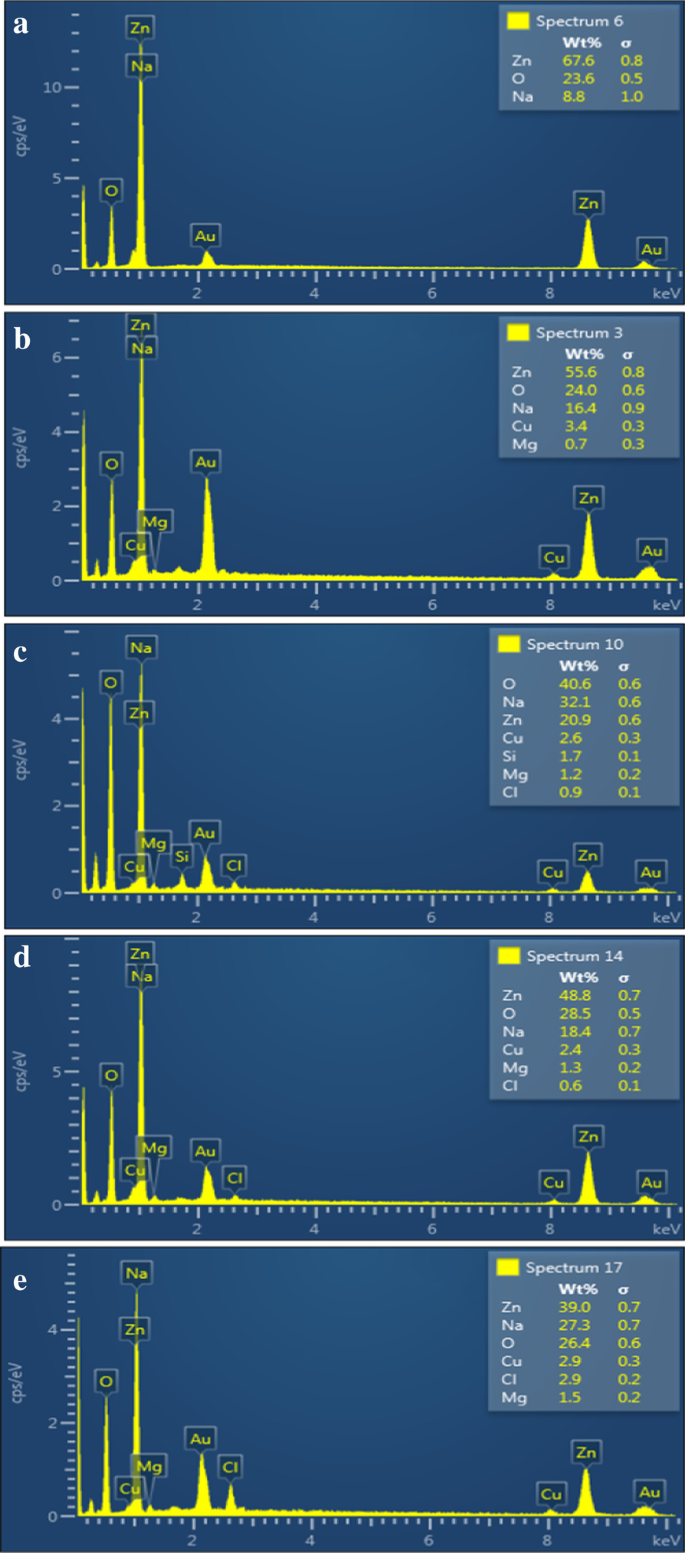 Enhanced Photocatalytic and Antimicrobial Performance of Mg-Doped ZnO Nanorods: Structural Characterization and Molecular Docking Insights