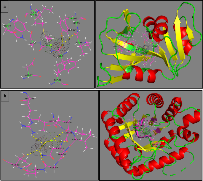 Enhanced Photocatalytic and Antimicrobial Performance of Mg-Doped ZnO Nanorods: Structural Characterization and Molecular Docking Insights