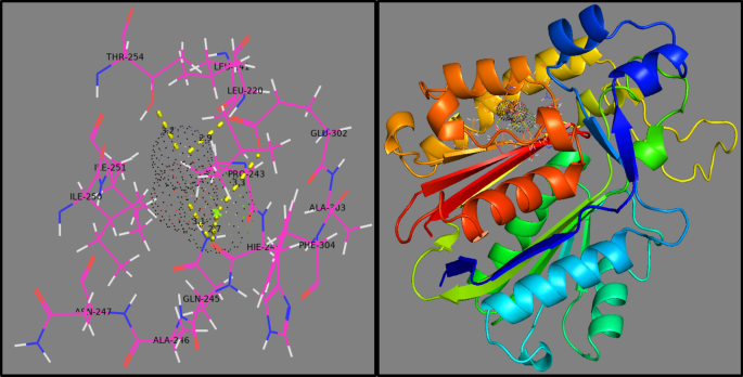 Enhanced Photocatalytic and Antimicrobial Performance of Mg-Doped ZnO Nanorods: Structural Characterization and Molecular Docking Insights