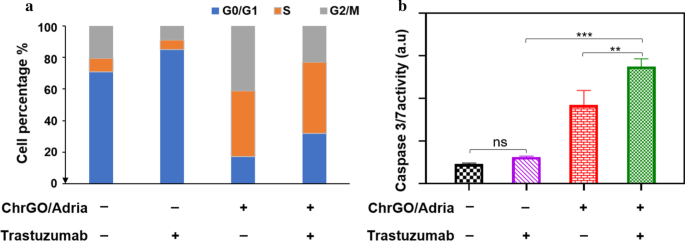 Microwave‑Reduced, Chitosan‑Coated Graphene Oxide for Targeted Adriamycin Delivery and Enhanced Breast Cancer Therapy