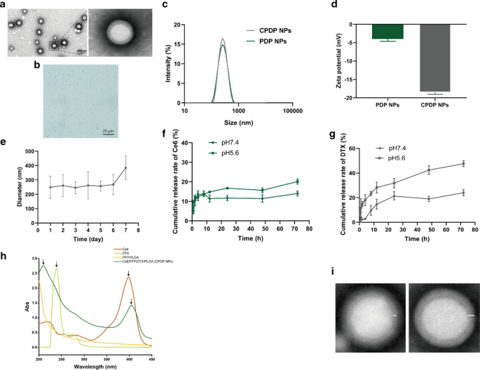 Ultrasound-Enhanced Multifunctional Nanoparticles: A Novel Platform for Imaging and Synergistic Therapy of Metastatic Breast Cancer