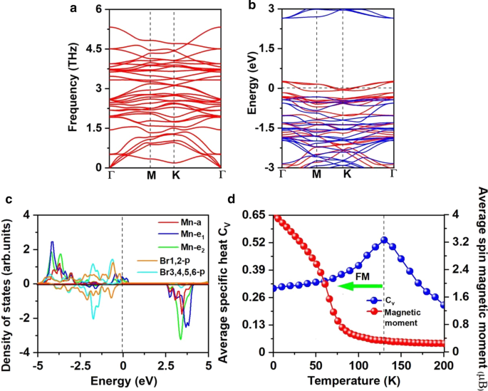 From Antiferromagnetic MnBr₂ to Ferromagnetic Mn₃Br₈ Monolayer: Achieving High Curie Temperature and Large MAE