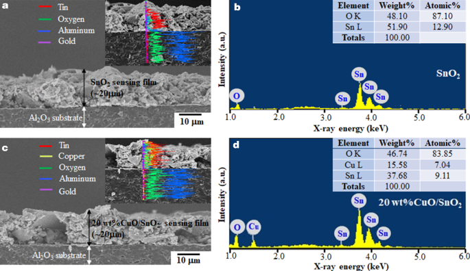 Ultra‑Sensitive, Selective H₂S Detection with CuO/SnO₂ Thick Films via Precipitation‑Impregnation