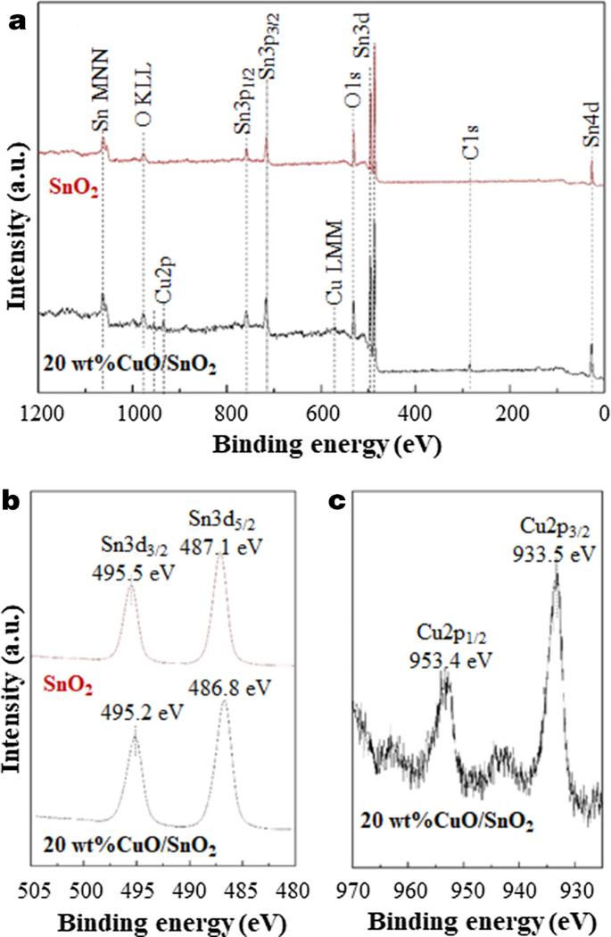 Ultra‑Sensitive, Selective H₂S Detection with CuO/SnO₂ Thick Films via Precipitation‑Impregnation