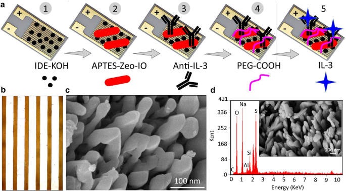 Advanced Zeolite‑Iron Oxide Nanocomposite Capacitive Biosensor for Rapid IL‑3 Sepsis Detection
