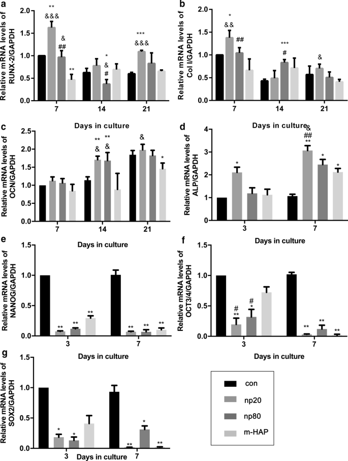 Hydroxyapatite Nanoparticles Enhance MSC Osteogenesis via Endothelial Cell Interaction