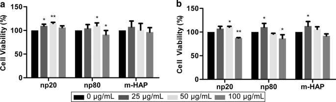 Hydroxyapatite Nanoparticles Enhance MSC Osteogenesis via Endothelial Cell Interaction