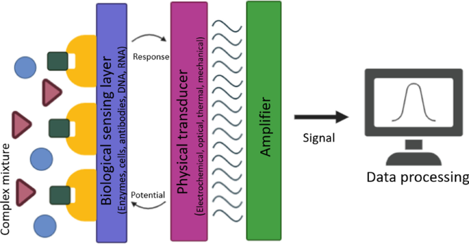 Recent Advances in Metal Oxide‑Graphene‑CNT Nanobiosensors