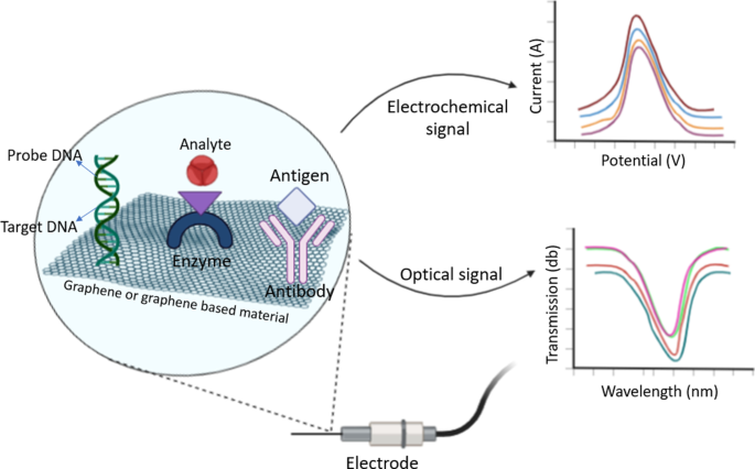 Recent Advances in Metal Oxide‑Graphene‑CNT Nanobiosensors