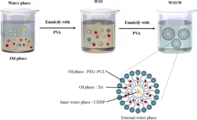 Enhanced Antitumor Efficacy of Cisplatin–Tetradrine Therapy via Biocompatible Nanoparticle Delivery