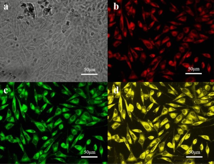 Enhanced Antitumor Efficacy of Cisplatin–Tetradrine Therapy via Biocompatible Nanoparticle Delivery
