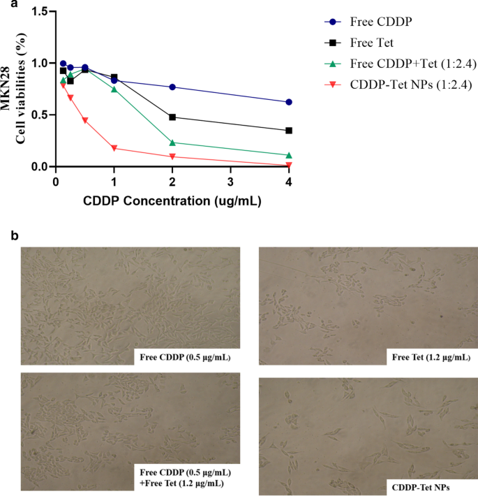 Enhanced Antitumor Efficacy of Cisplatin–Tetradrine Therapy via Biocompatible Nanoparticle Delivery