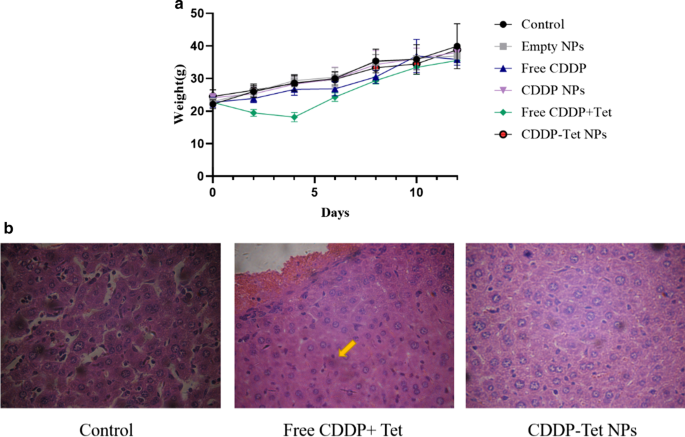 Enhanced Antitumor Efficacy of Cisplatin–Tetradrine Therapy via Biocompatible Nanoparticle Delivery