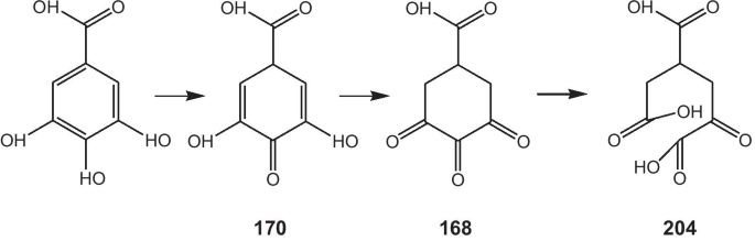 Efficient Synthesis of Gold Nanoplates with Ortho‑Carbonyl Capping Agents for Sensitive Lead Ion Electrochemical Detection