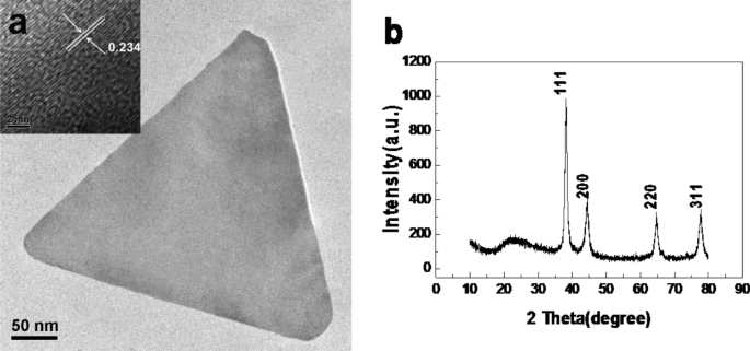 Efficient Synthesis of Gold Nanoplates with Ortho‑Carbonyl Capping Agents for Sensitive Lead Ion Electrochemical Detection