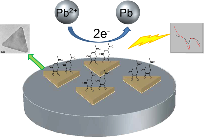 Efficient Synthesis of Gold Nanoplates with Ortho‑Carbonyl Capping Agents for Sensitive Lead Ion Electrochemical Detection