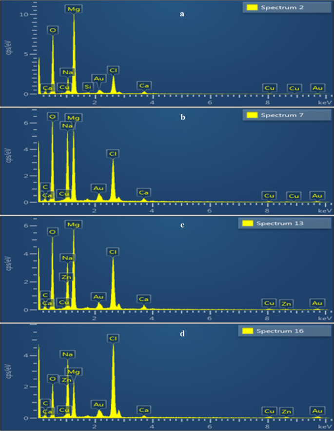 Enhanced Dye Degradation & Antibacterial Performance of Graphene Oxide‑Doped MgO Nanostructures