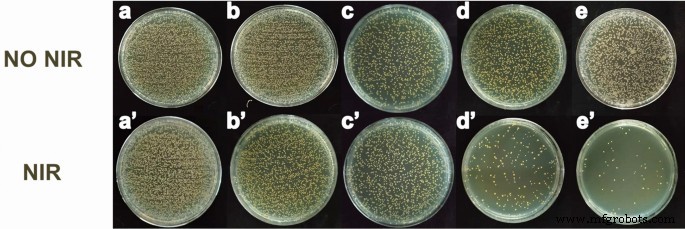 In Situ Electrospun Curcumin Nanofibers: Dual Antibacterial Action for Sterilizing Drug‑Resistant Bacteria
