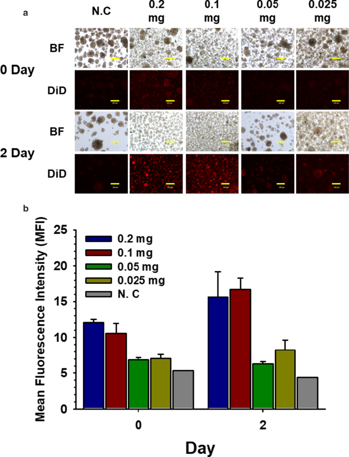 Efficient Nano‑Encapsulation of Neonatal Porcine Islet‑Like Cell Clusters Using PEG‑block‑PLA Polymersomes