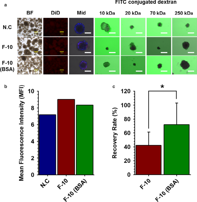Efficient Nano‑Encapsulation of Neonatal Porcine Islet‑Like Cell Clusters Using PEG‑block‑PLA Polymersomes