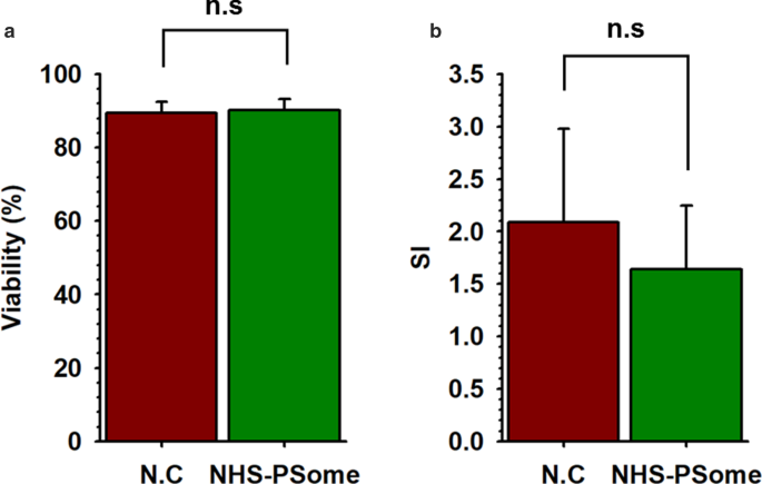 Efficient Nano‑Encapsulation of Neonatal Porcine Islet‑Like Cell Clusters Using PEG‑block‑PLA Polymersomes