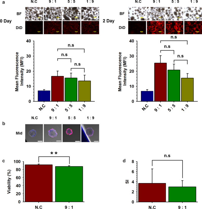 Efficient Nano‑Encapsulation of Neonatal Porcine Islet‑Like Cell Clusters Using PEG‑block‑PLA Polymersomes