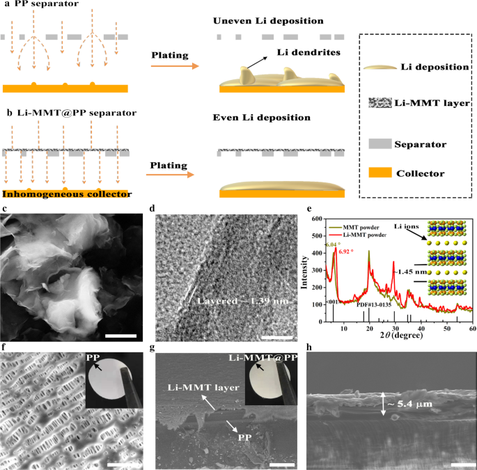 Enhancing Lithium Metal Anode Cycling with Atomic-Scale Interlamellar Ion Channels for Li‑S Batteries