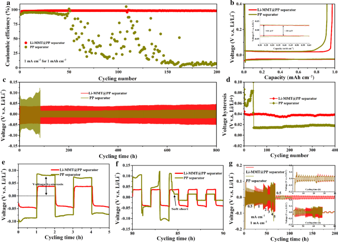 Enhancing Lithium Metal Anode Cycling with Atomic-Scale Interlamellar Ion Channels for Li‑S Batteries