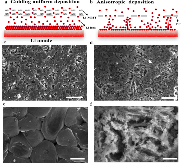 Enhancing Lithium Metal Anode Cycling with Atomic-Scale Interlamellar Ion Channels for Li‑S Batteries