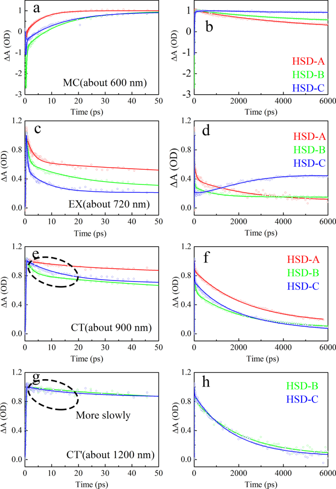 Unveiling a Bridge-Selective Exciton Dissociation Pathway in Donor–π–Acceptor Conjugated Polymers