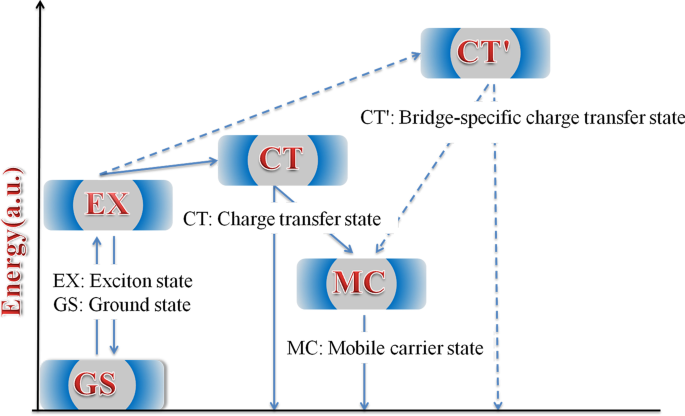 Unveiling a Bridge-Selective Exciton Dissociation Pathway in Donor–π–Acceptor Conjugated Polymers