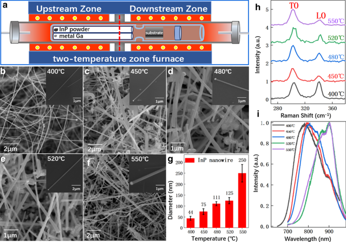 Thermodynamics-Driven Transformation of InP to GaP Nanowires via Trace Gallium Introduction