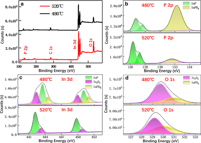 Thermodynamics-Driven Transformation of InP to GaP Nanowires via Trace Gallium Introduction