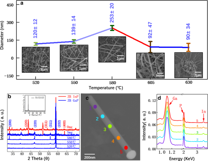 Thermodynamics-Driven Transformation of InP to GaP Nanowires via Trace Gallium Introduction
