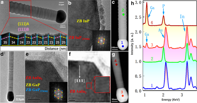 Thermodynamics-Driven Transformation of InP to GaP Nanowires via Trace Gallium Introduction